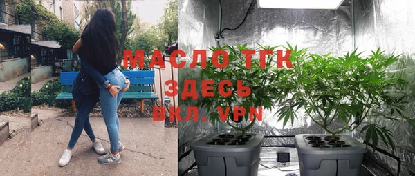 сатива Баксан