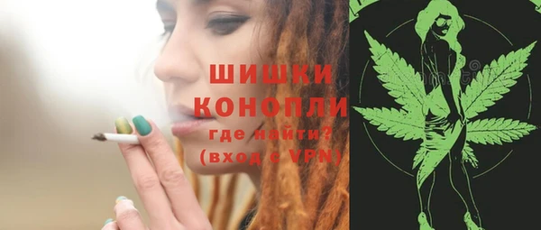сатива Баксан
