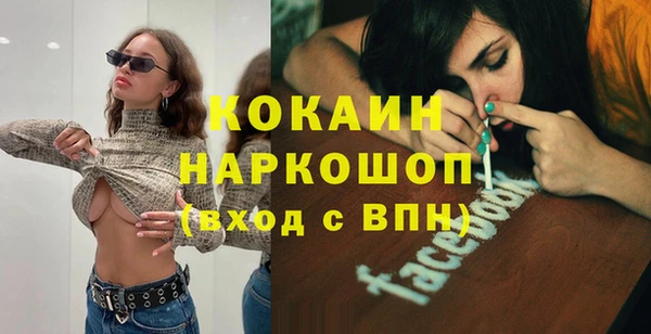 индика Аркадак