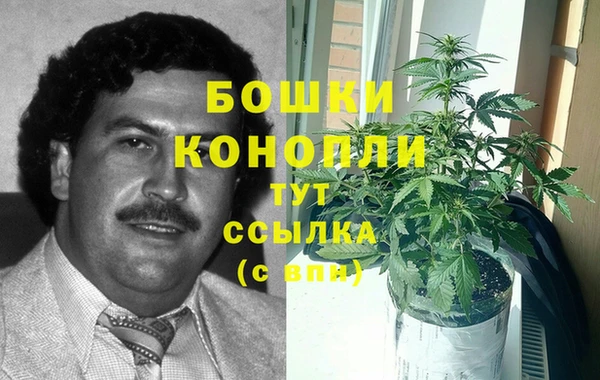трава Армянск