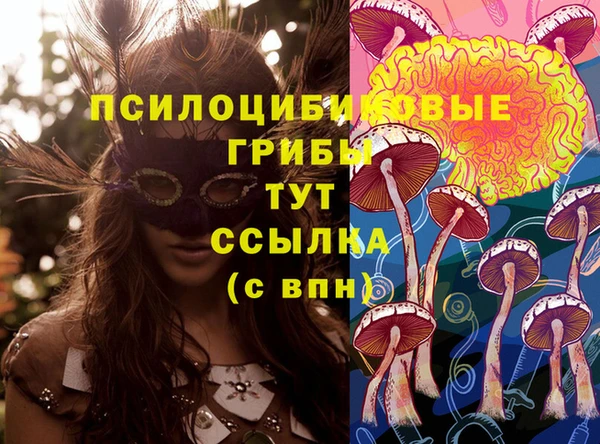 Альфа ПВП Балахна