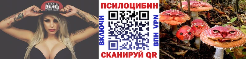 где найти наркотики  Певек  Галлюциногенные грибы Magic Shrooms 